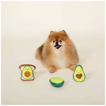 /assets/alt_3/XFSAOT3.jpg?20251219104713