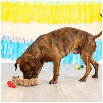 /assets/alt_3/XFSHSFIES_2PK.jpg?20251219104937