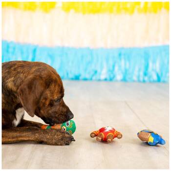 /assets/alt_3/XFSMW3_2PK.jpg?20251219104640