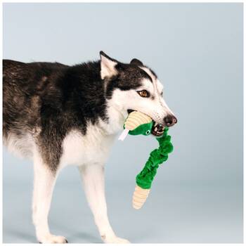 /assets/alt_3/XFSTPHIKI.jpg?20251219105015