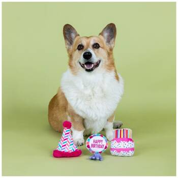 /assets/alt_3/XFSWW3_2PK.jpg?20251219104607