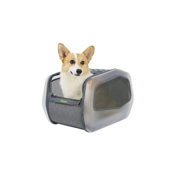 /assets/alt_3/XINEORSVRMST.jpg?20250821130110