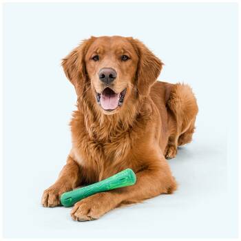 /assets/alt_3/XWPDRIEMDSM.jpg?20251223170132