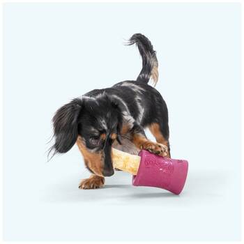 /assets/alt_3/XWPFUNMAR.jpg?20251223170152