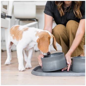 /assets/alt_3/XWPNSBKLP.jpg?20251223170103