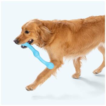 /assets/alt_3/XWPZWIDDL.jpg?20251223171606