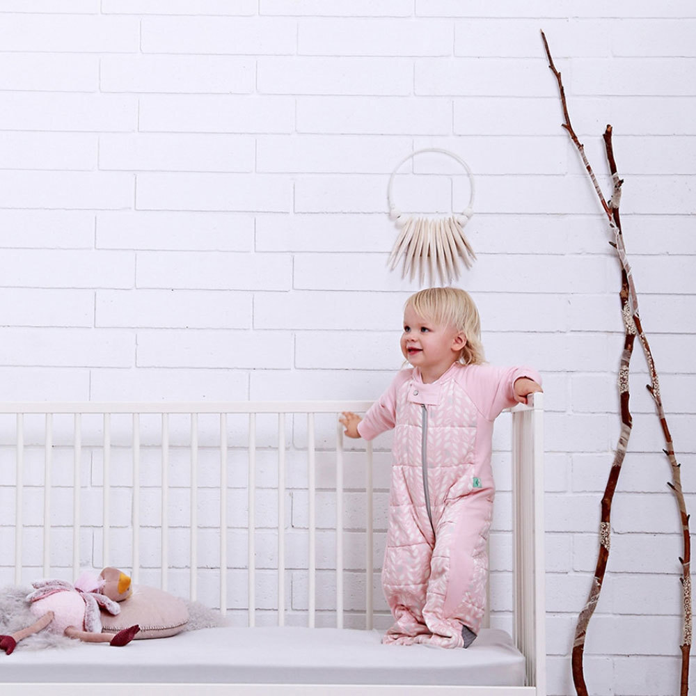 ergopouch 2.5 tog sleep suit