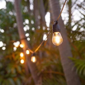 /assets/alt_4/10004646_2PK.jpg?20250807110058