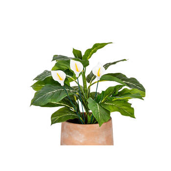 /assets/alt_4/30832_6PK.jpg?20250827161608