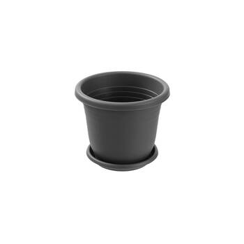 /assets/alt_4/47580_12PK.jpg?20250501170428