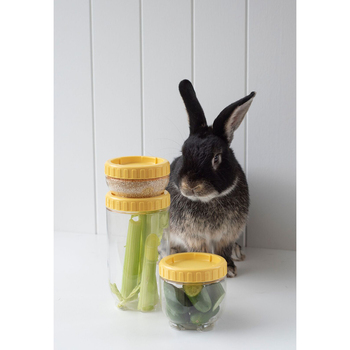 /assets/alt_4/70880_3PK.jpg?20231117144632