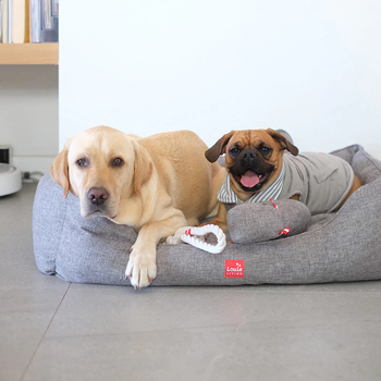 /assets/alt_4/920019.jpg?20221024153623