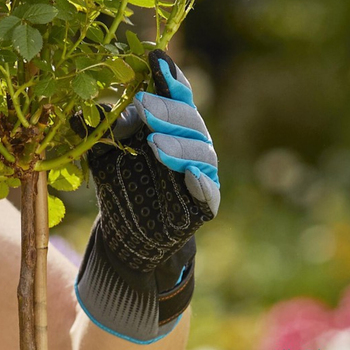 Large View /assets/alt_4/970487601.jpg?20241118123907