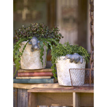 /assets/alt_4/AG-30719_4PK.jpg?20250827161514