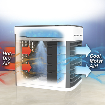 /assets/alt_4/ARCULT_T2C.jpg?20240222184204