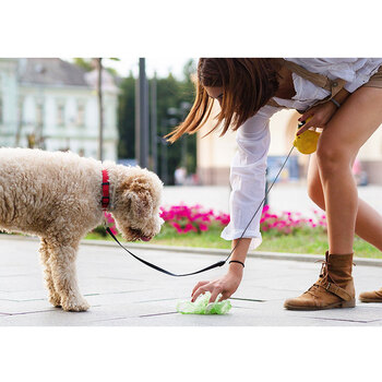 /assets/alt_4/BB-DOG-9.jpg?20211206091620