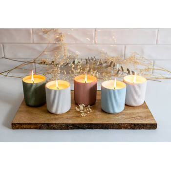 /assets/alt_4/BBC-74_2PK.jpg?20250919160600