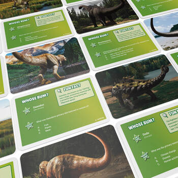 /assets/alt_4/BG2411.jpg?20250829101631