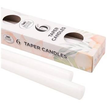 /assets/alt_4/CA144609_12PK.jpg?20251117123357