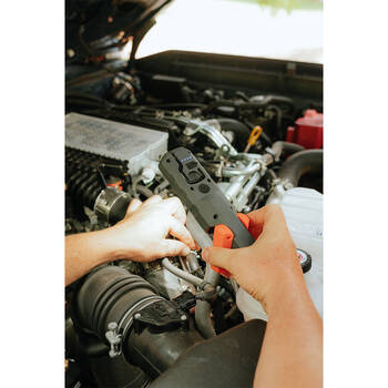 /assets/alt_4/CA7403.jpg?20250701124910