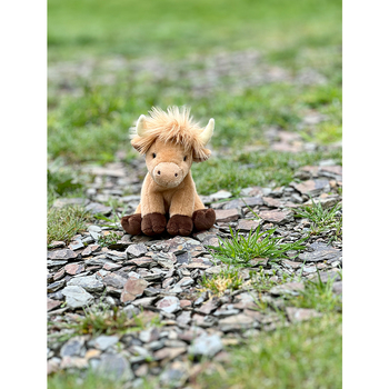 /assets/alt_4/CC23135G_2PK.jpg?20241028155542