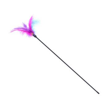 /assets/alt_4/CHW-36317_12PK.jpg?20260325191723