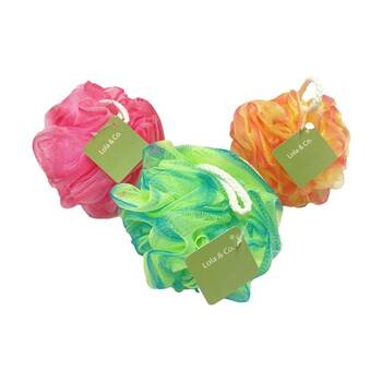 /assets/alt_4/CHW-PC154523_6PK.jpg?20260123184733