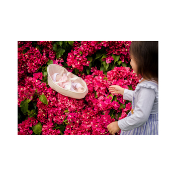 /assets/alt_4/DSL1911.jpg?20241025113008