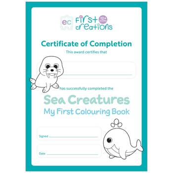 /assets/alt_4/EVFCCBUS_6PK.jpg?20251031114920