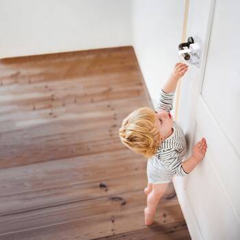 Large View /assets/alt_4/F1480_6PK.jpg?20251002161844