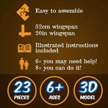 /assets/alt_4/HJ-007_3PK.jpg?20240718141736