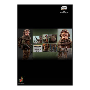 /assets/alt_4/HOTTMS048.jpg?20250520133443