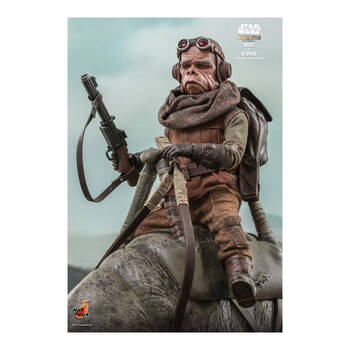 /assets/alt_4/HOTTMS049.jpg?20250514165535