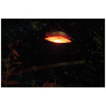 /assets/alt_4/MS-0196-0500.jpg?20251031111003