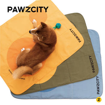 /assets/alt_4/PAWZ-WPTM-A.jpg?20231229081628