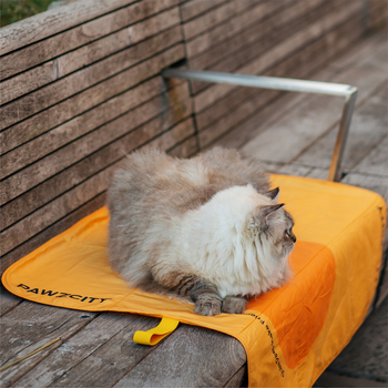 /assets/alt_4/PAWZ-WPTM-S.jpg?20231229081915
