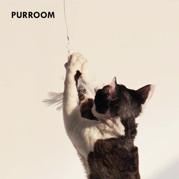/assets/alt_4/PURR-RCT_2PK.jpg?20231229081957