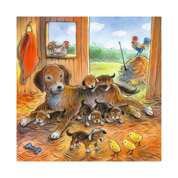 /assets/alt_4/RB04048-4.jpg?20250325163034