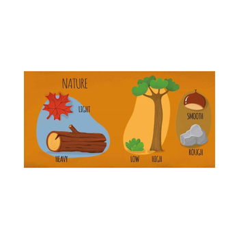 /assets/alt_4/SAS431.jpg?20241017160414