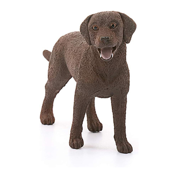 /assets/alt_4/SC13834_2PK.jpg?20240723152137