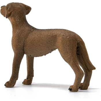 /assets/alt_4/SC13895_2PK.jpg?20240723151926