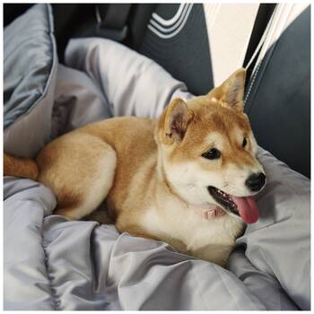 /assets/alt_4/T8988.jpg?20251107171733