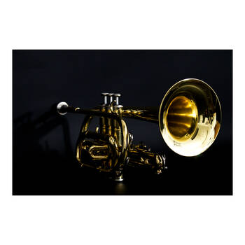 /assets/alt_4/TYM-101914.jpg?20250812160150