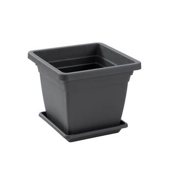 /assets/alt_4/UN-49621_6PK.jpg?20250814104619