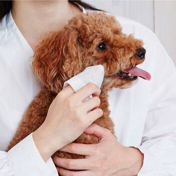 /assets/alt_4/W26884_2PK.jpg?20230327165302