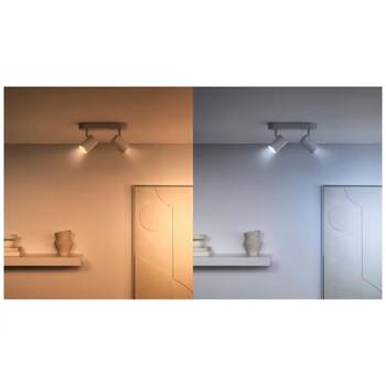 /assets/alt_4/WIZWCAGU10BTV2_2PK.jpg?20251229163050