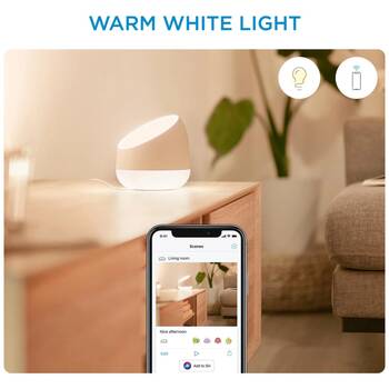 /assets/alt_4/WIZWCASQUIRE.jpg?20251229163230