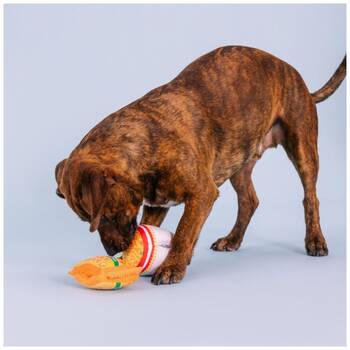 /assets/alt_4/XFSNBN2_2PK.jpg?20251219104822