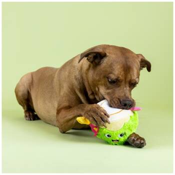 /assets/alt_4/XFSNUT_2PK.jpg?20251219104741