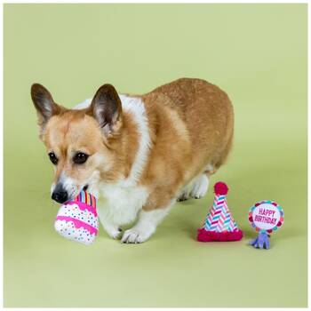 /assets/alt_4/XFSWW3_2PK.jpg?20251219104606